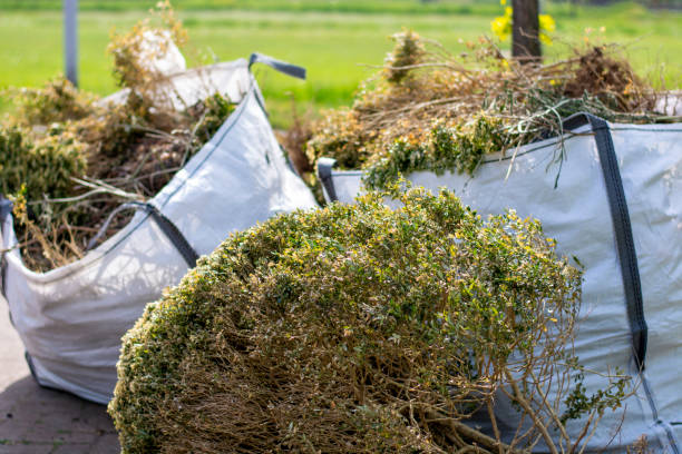 Best Mattress Removal Service  in South Monroe, MI